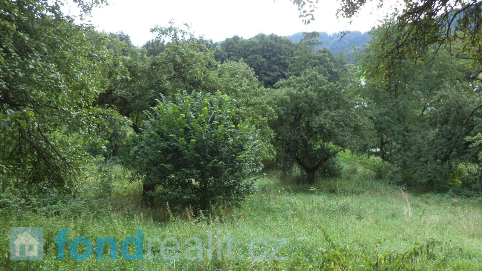 Prodej nemovitosti 34731 m² - foto 7