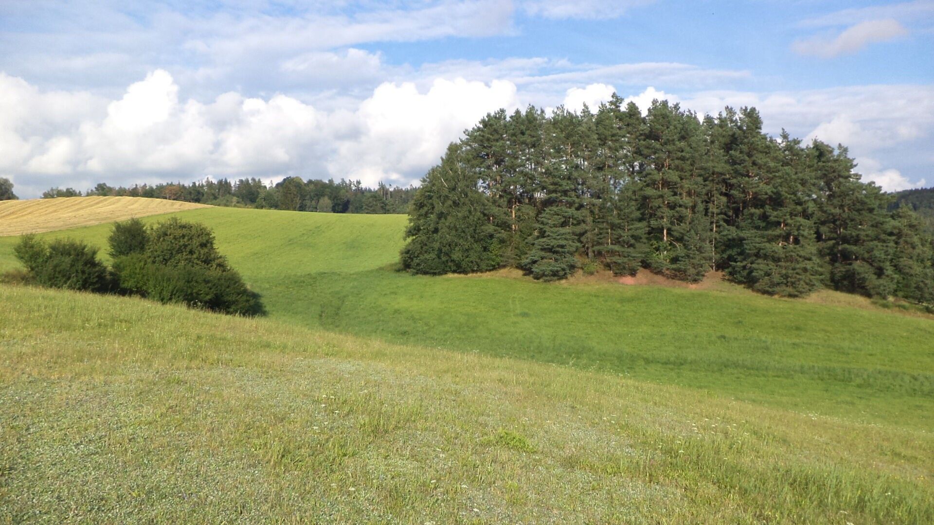 Prodej nemovitosti 34731 m² - foto 5