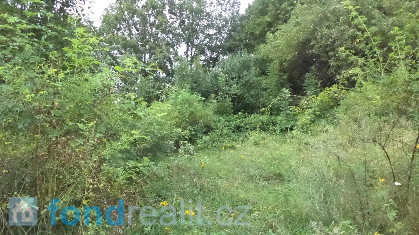 Prodej nemovitosti 34731 m² - foto 8