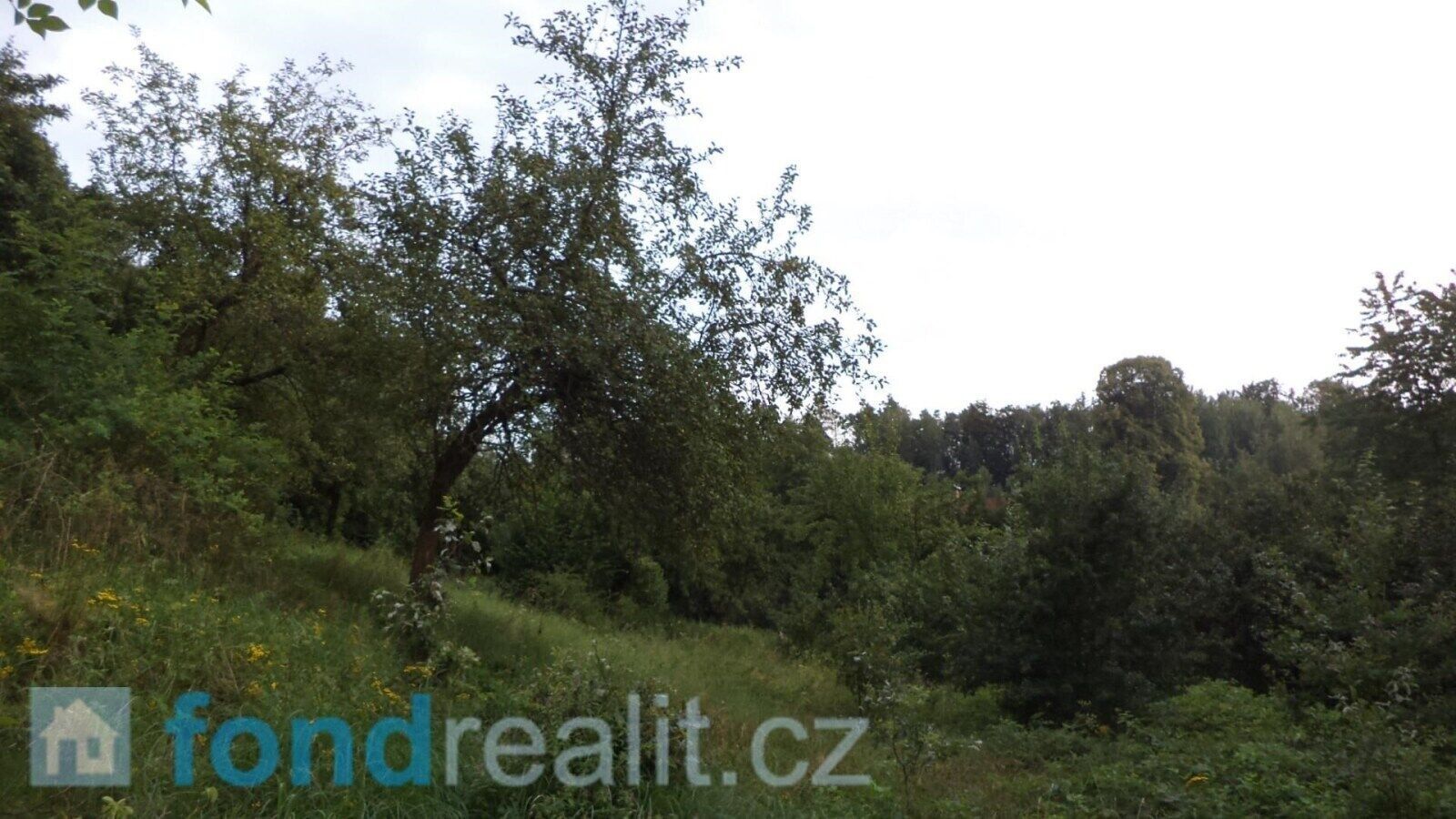 Prodej nemovitosti 34731 m² - foto 9