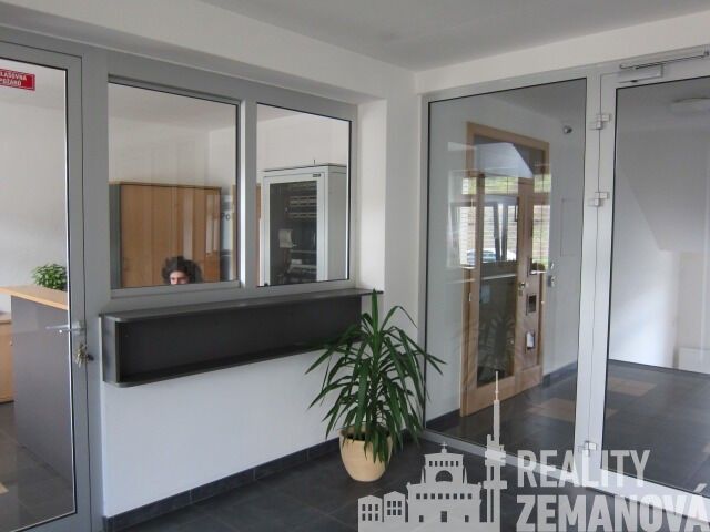 Pronájem komerčního prostoru 41 m² - foto 11