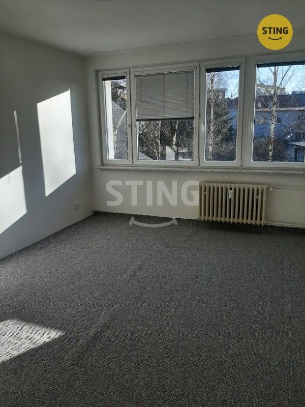 Pronájem bytu 1+1 43 m² - foto 10
