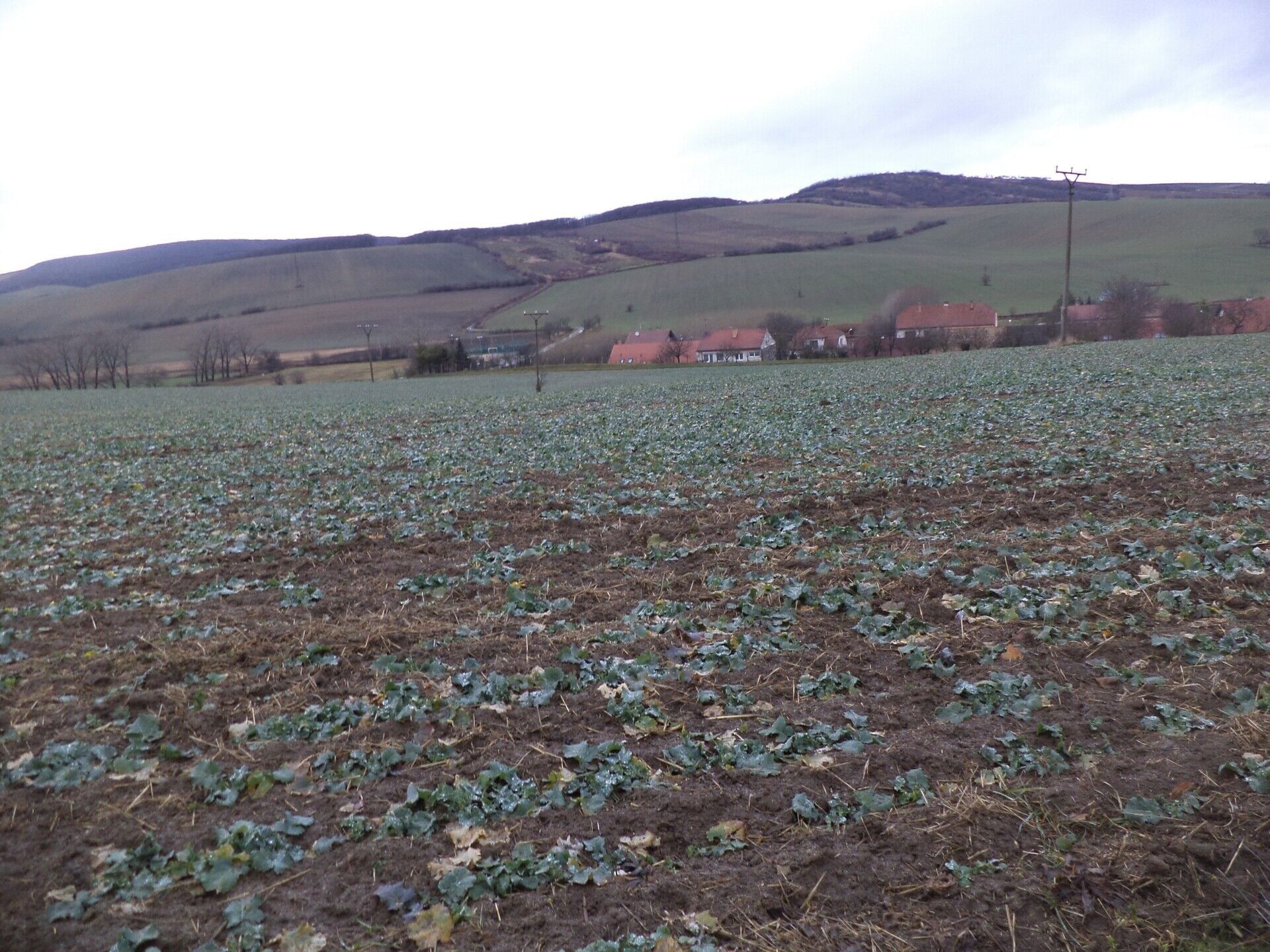Prodej nemovitosti 6867 m² - foto 3