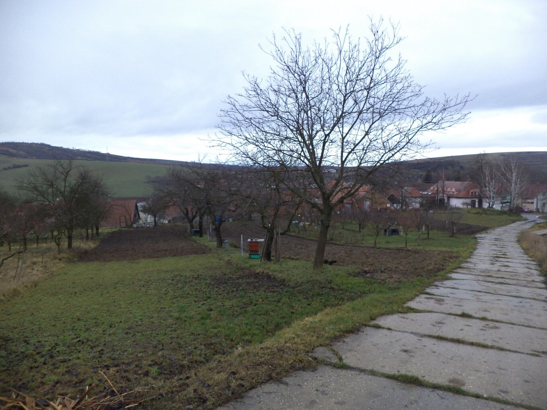 Prodej nemovitosti 6867 m² - foto 2