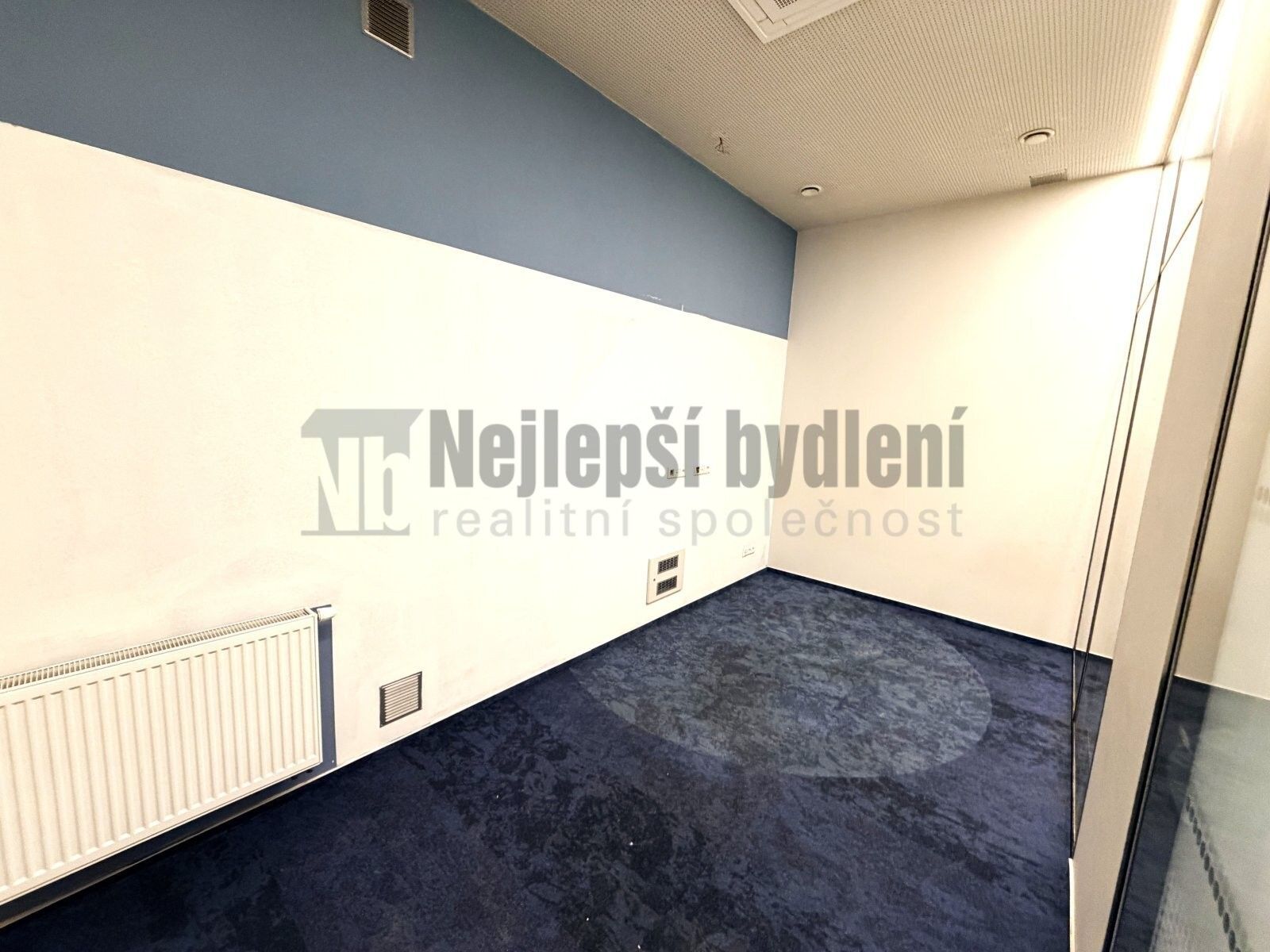 Prodej komerčního prostoru 124 m² - foto 4