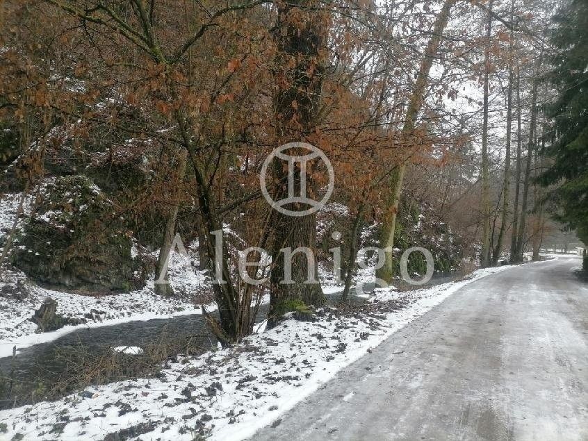 Prodej pozemku 342 m² - foto 5
