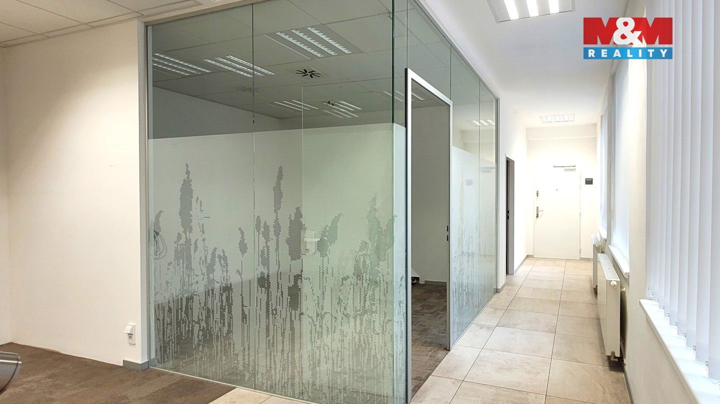 Pronájem komerčního prostoru 180 m² - foto 8