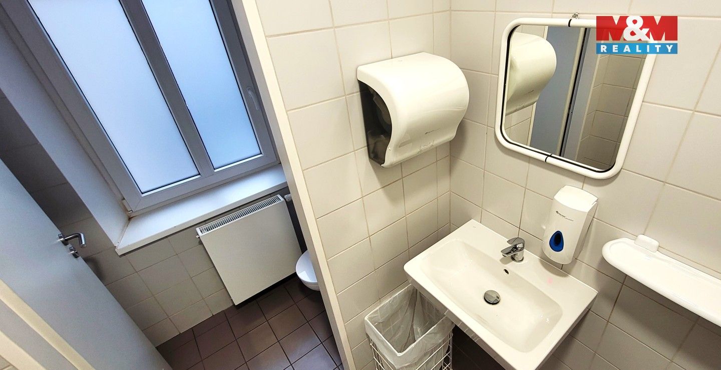 Pronájem komerčního prostoru 180 m² - foto 14