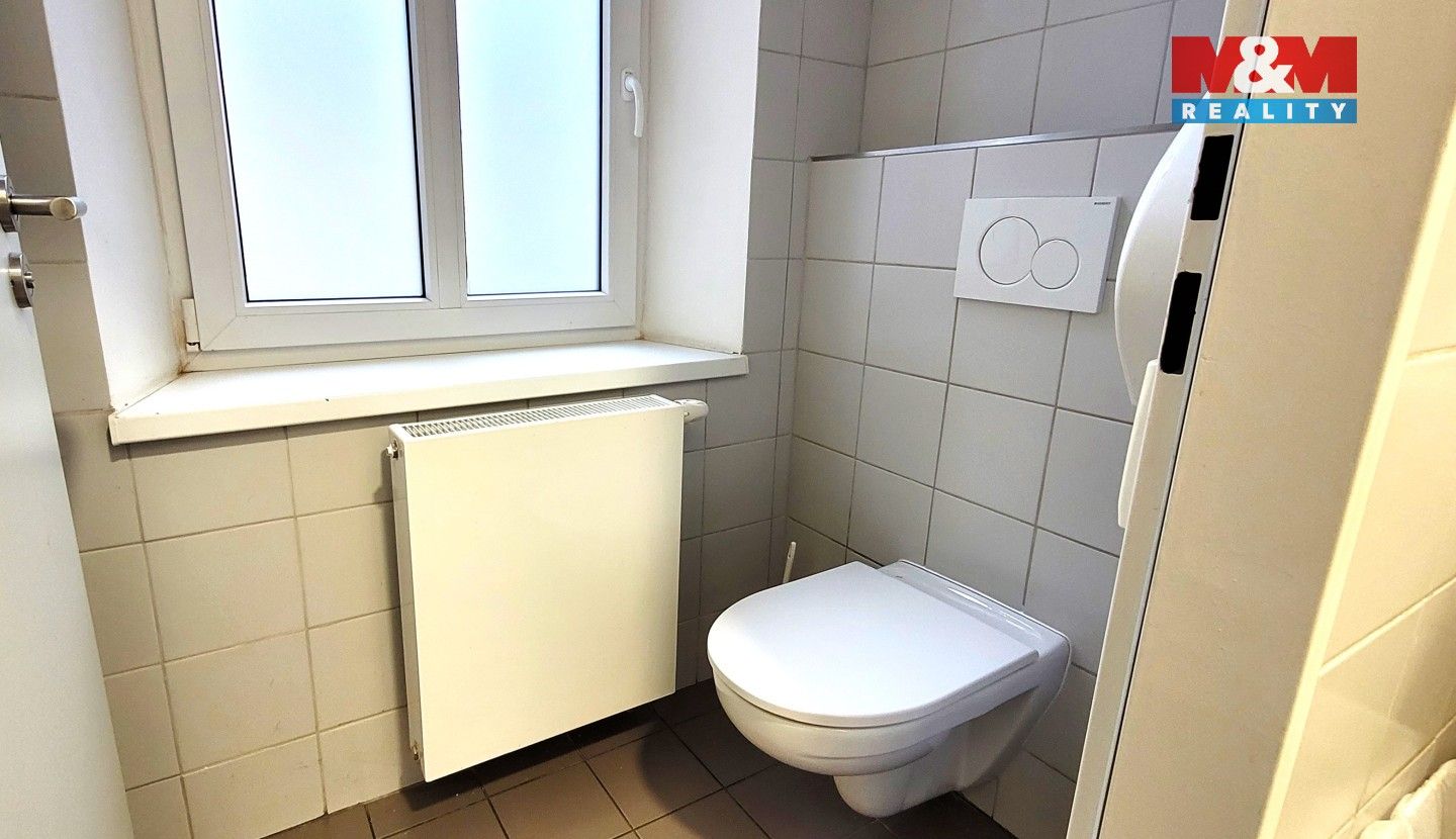 Pronájem komerčního prostoru 180 m² - foto 13