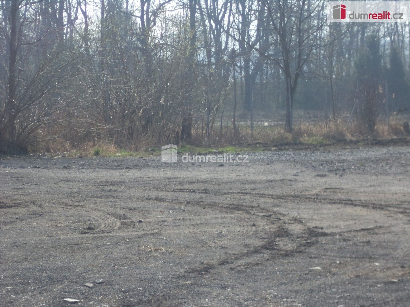 Pronájem nemovitosti 2000 m² - foto 4