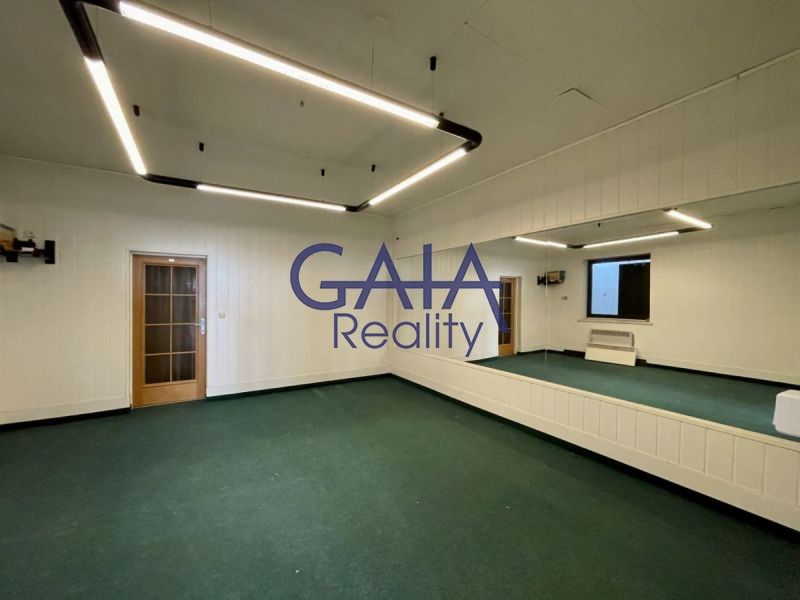 Pronájem komerčního prostoru 213 m² - foto 7