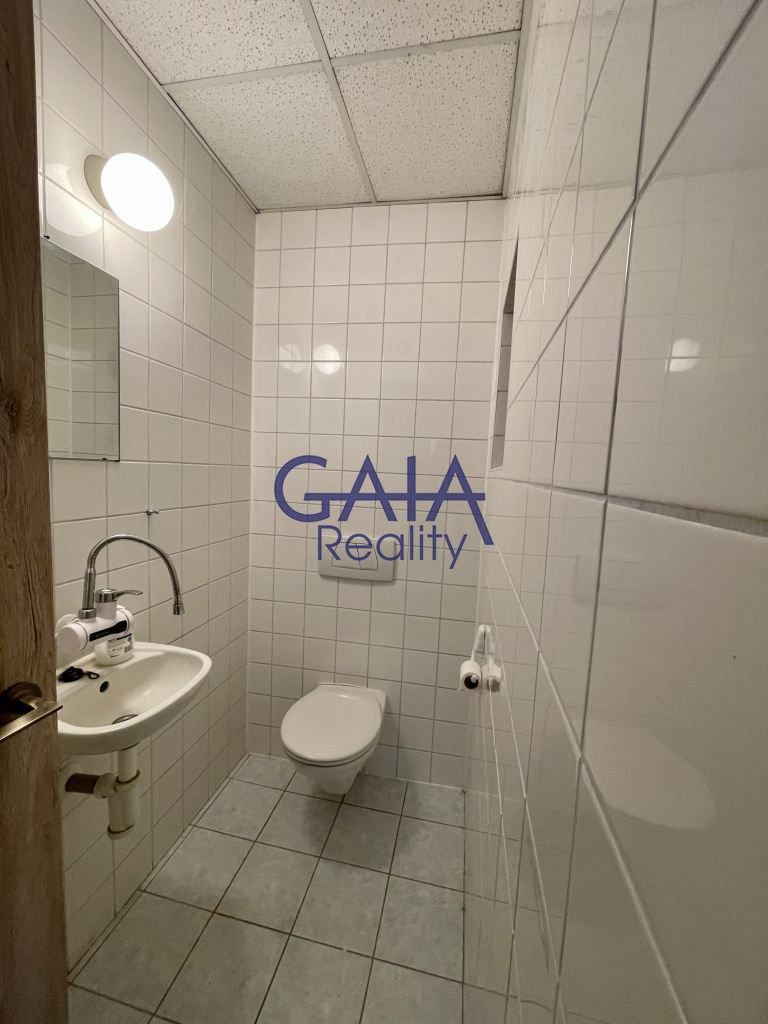 Pronájem komerčního prostoru 213 m² - foto 10