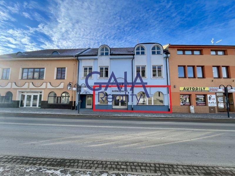 Pronájem komerčního prostoru 213 m² - foto 13