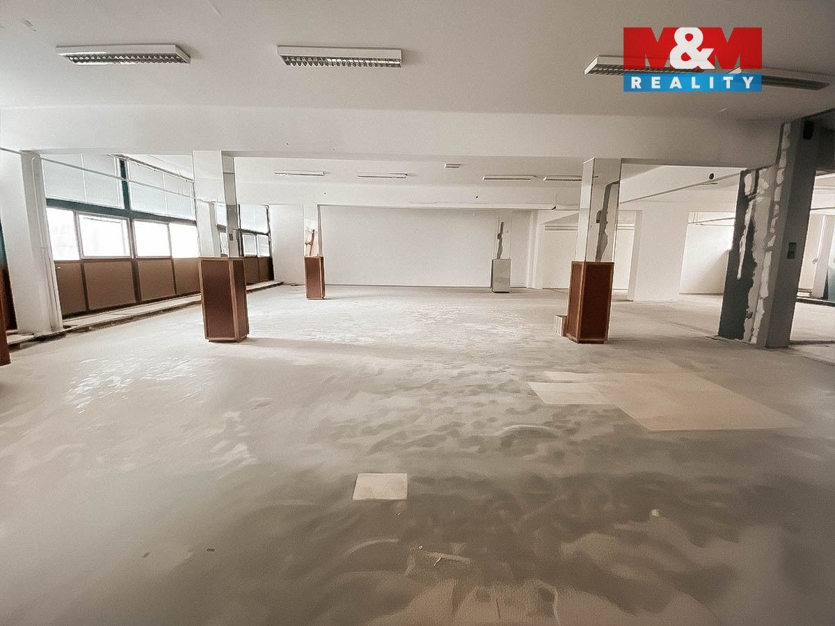 Pronájem komerčního prostoru 500 m² - foto 6