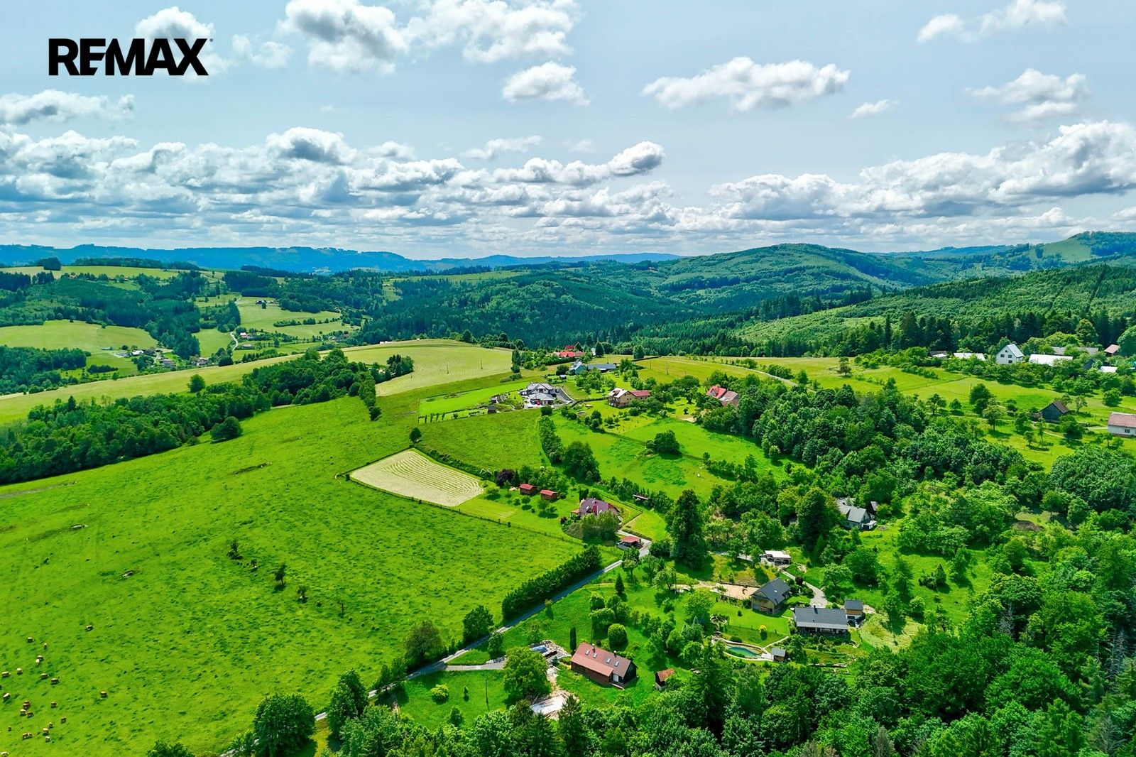 Prodej pozemku 3000 m² - foto 2