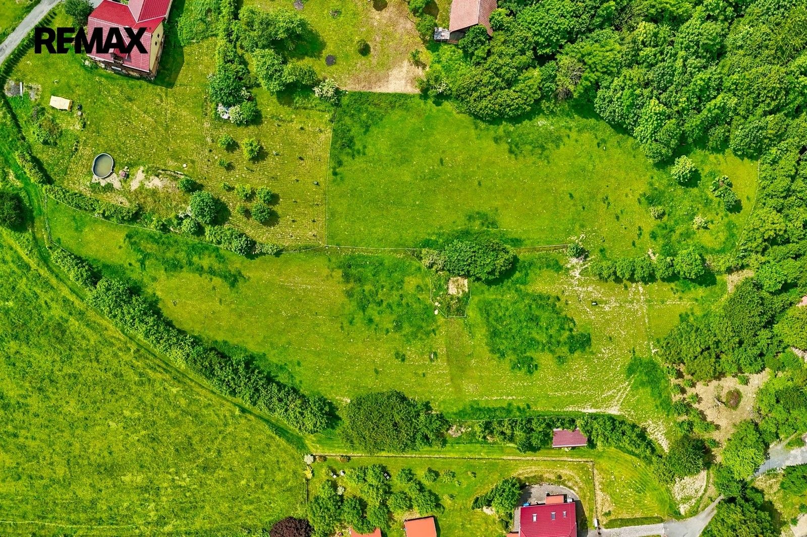 Prodej pozemku 3000 m² - foto 5