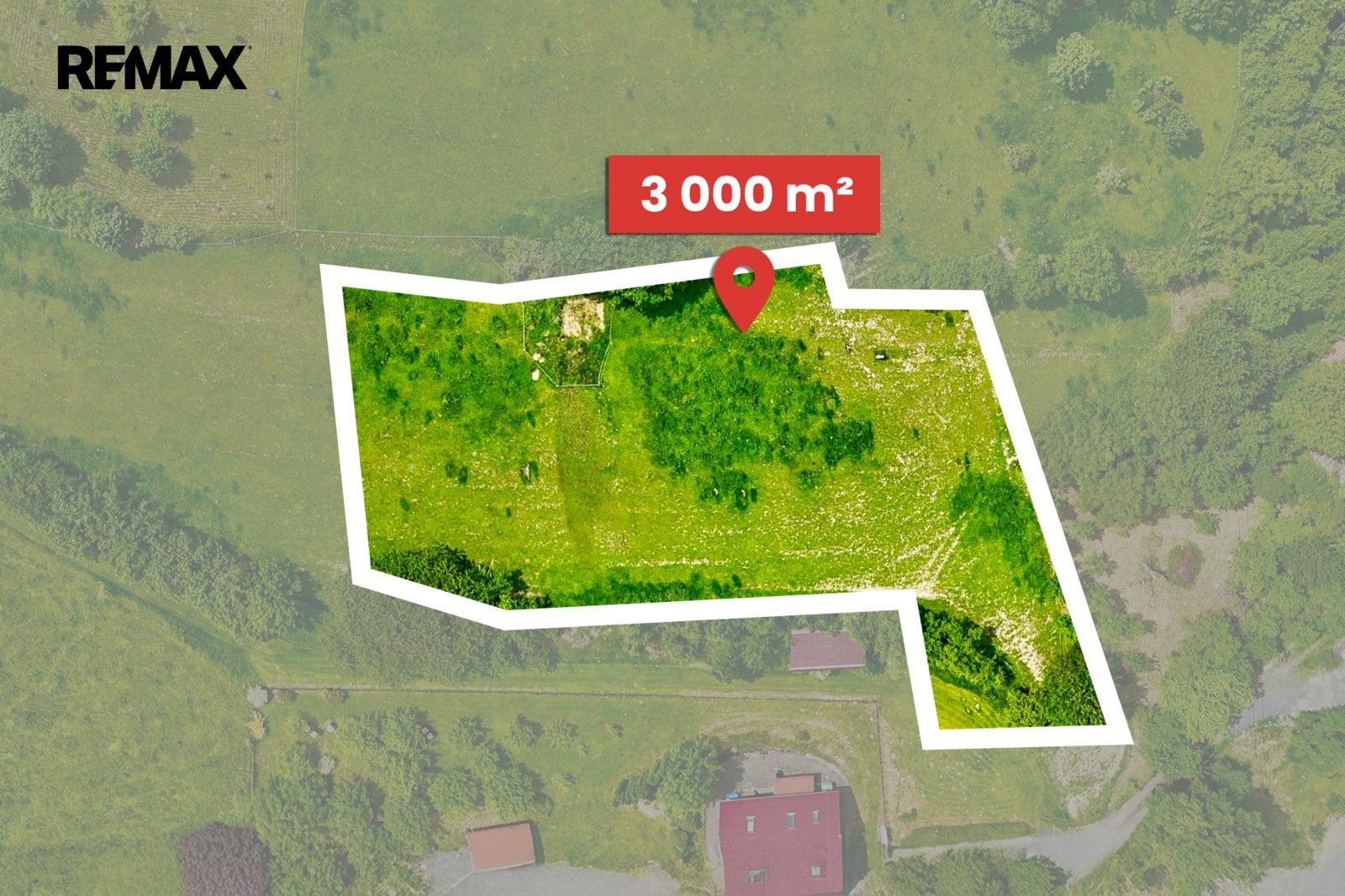 Prodej pozemku 3000 m² - foto 3