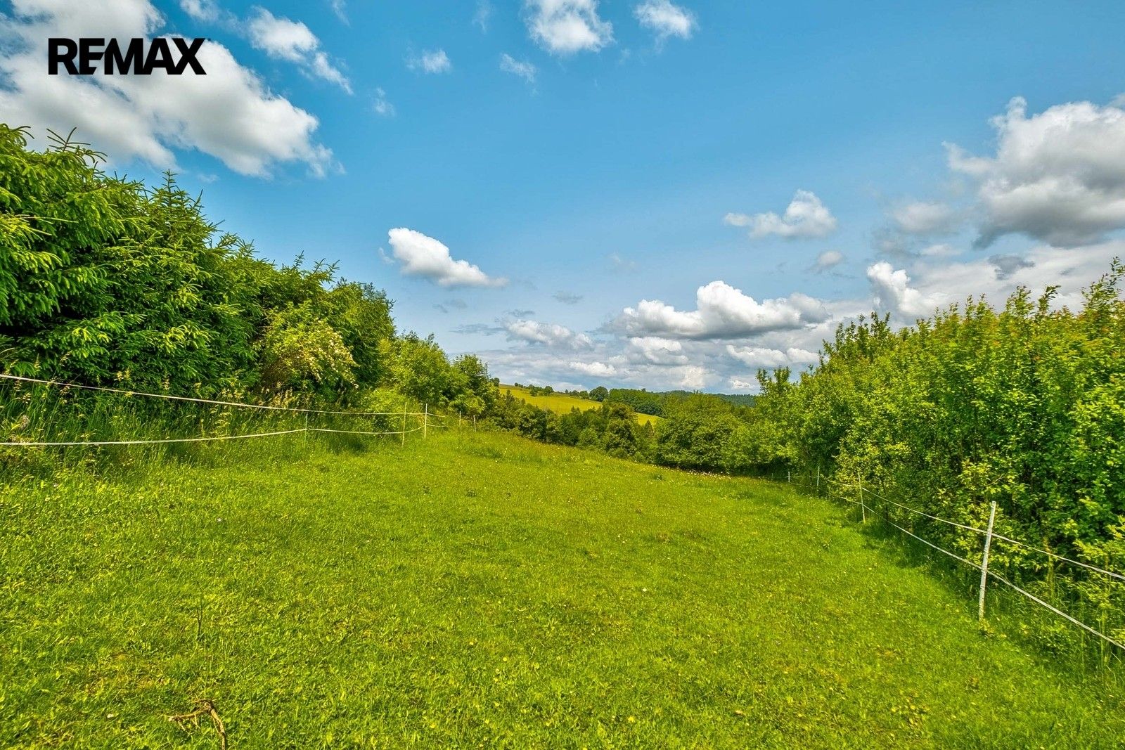 Prodej pozemku 3000 m² - foto 13
