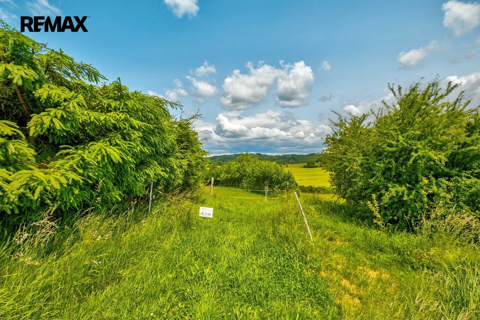 Prodej pozemku 3000 m² - foto 10