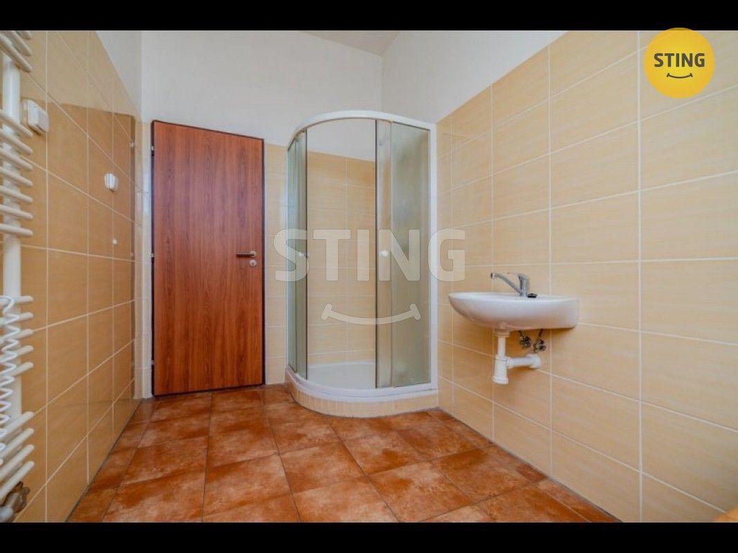 Pronájem komerčního prostoru 220 m² - foto 9