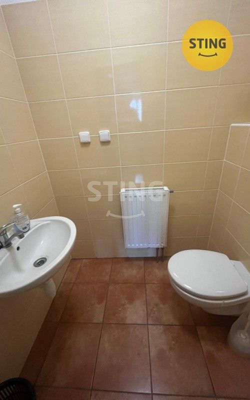 Pronájem komerčního prostoru 750 m² - foto 12