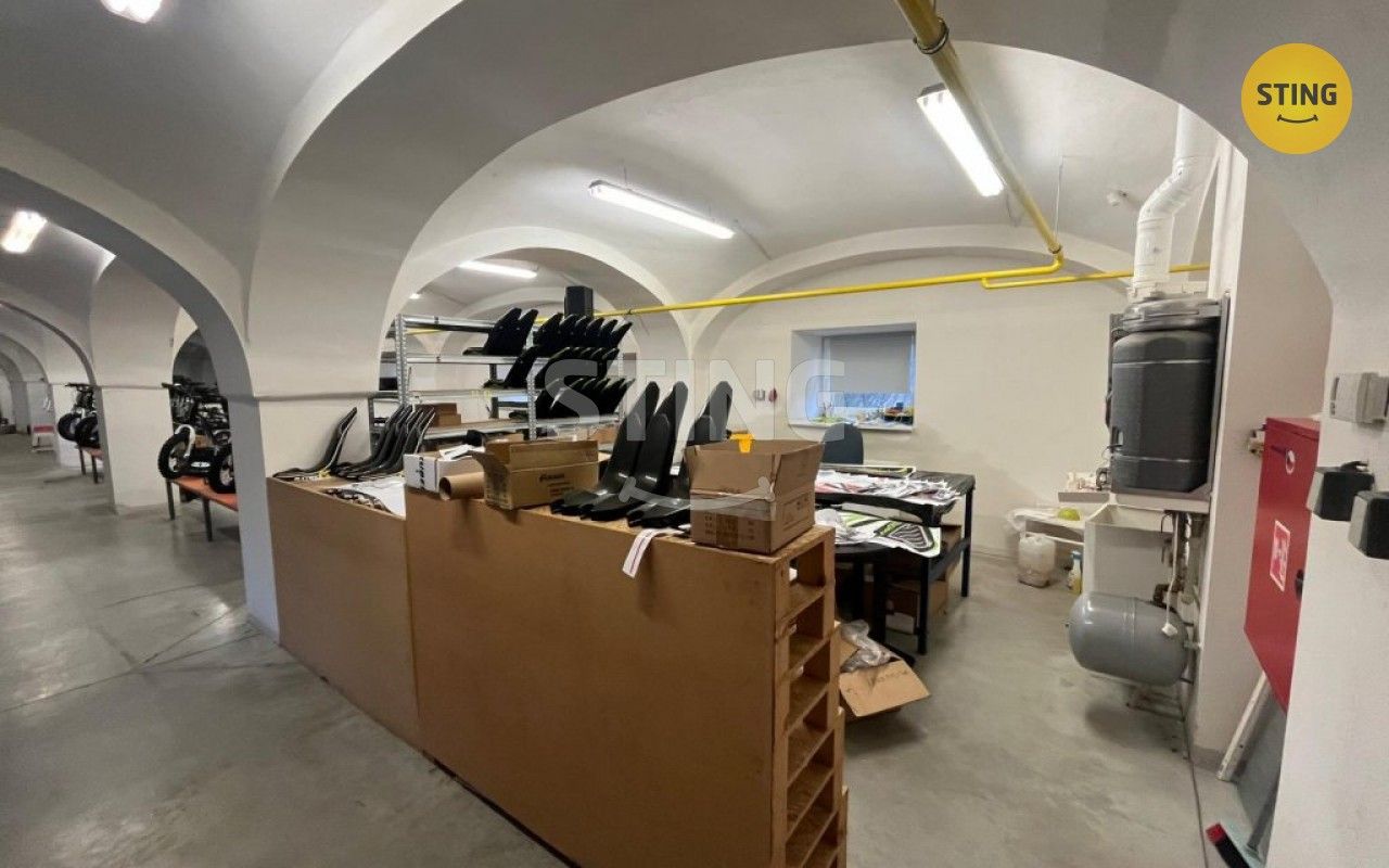 Pronájem komerčního prostoru 750 m² - foto 14