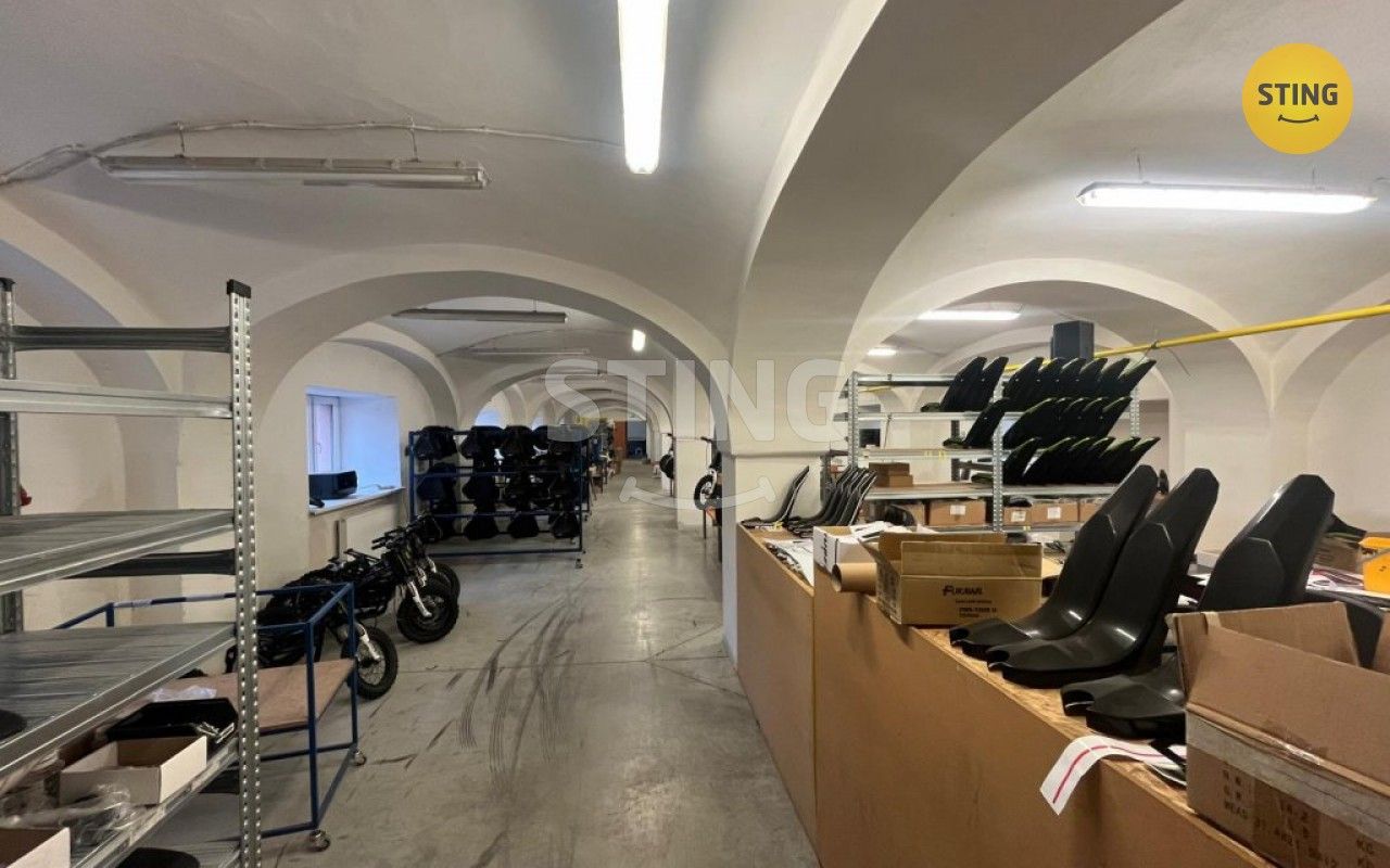 Pronájem komerčního prostoru 750 m² - foto 15