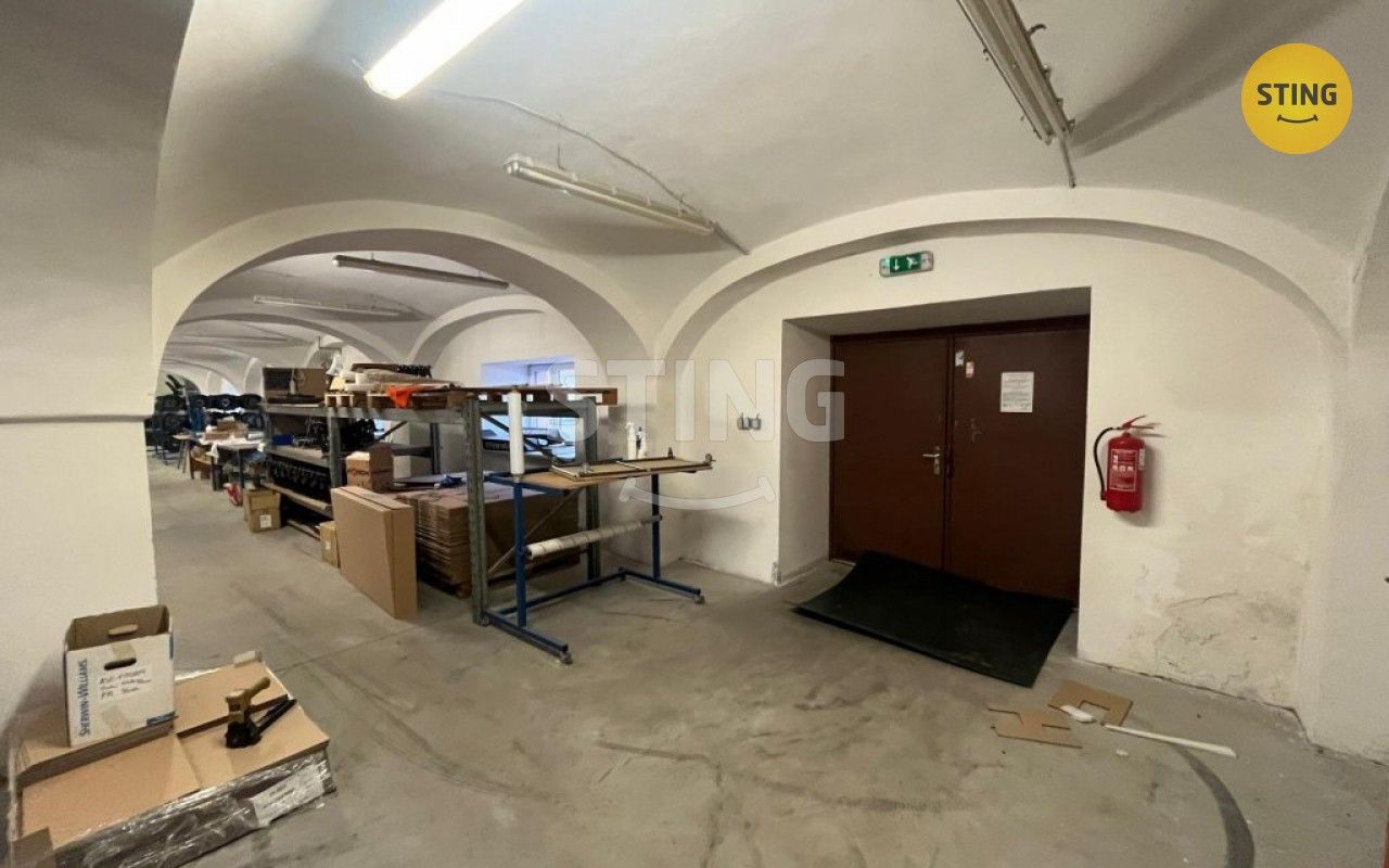 Pronájem komerčního prostoru 750 m² - foto 16