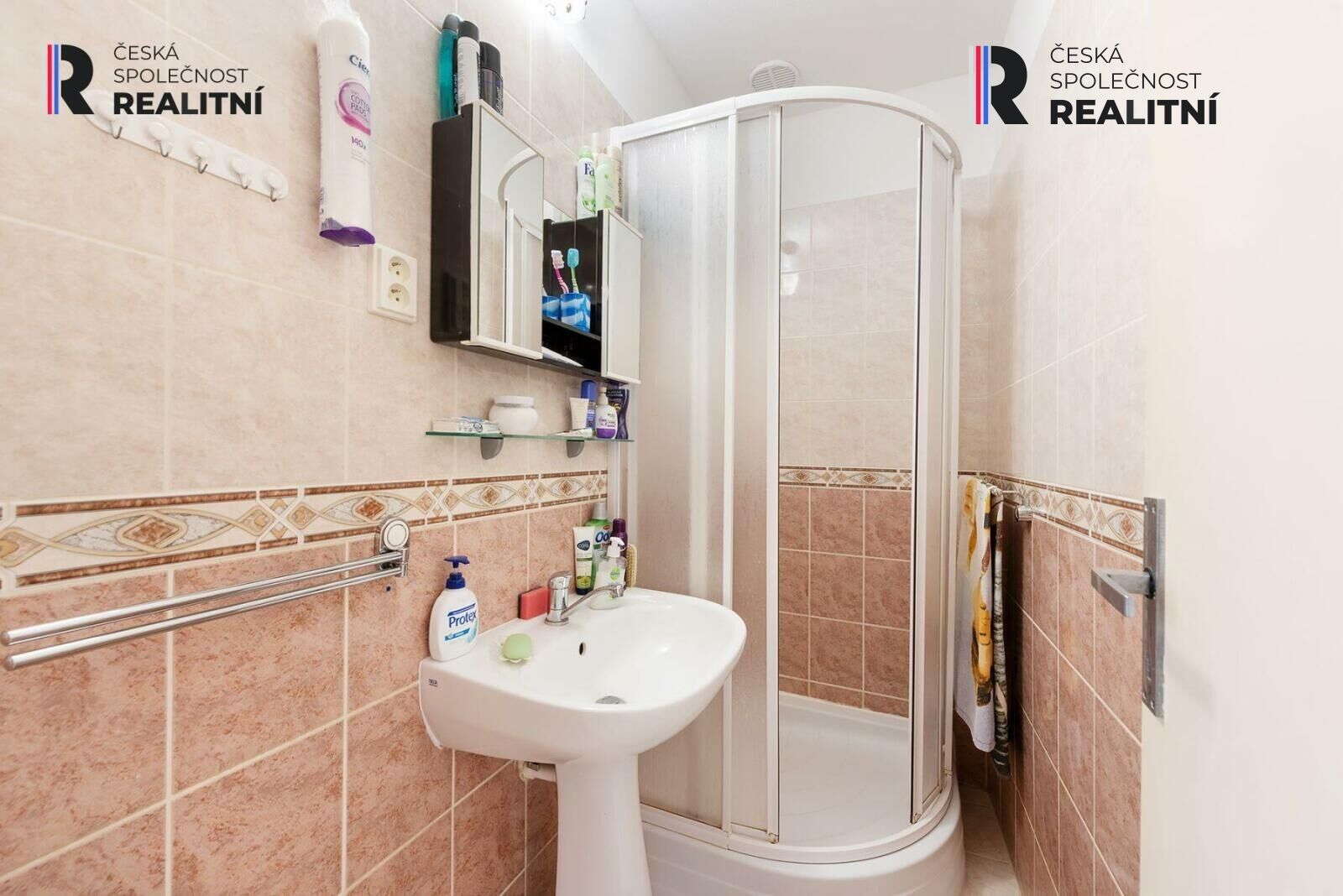 Prodej domu 1081 m² - foto 10