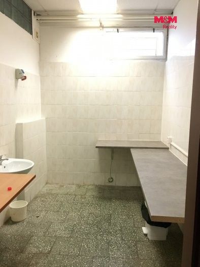 Pronájem komerčního prostoru 166 m² - foto 8
