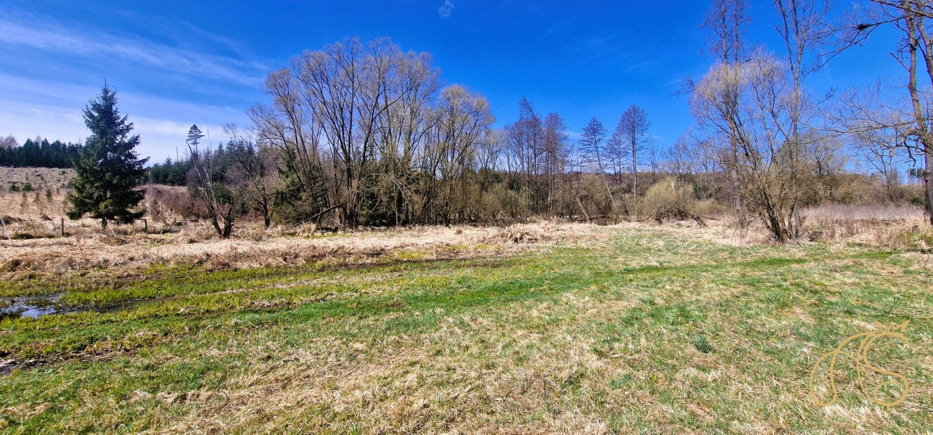 Prodej nemovitosti 12118 m² - foto 8