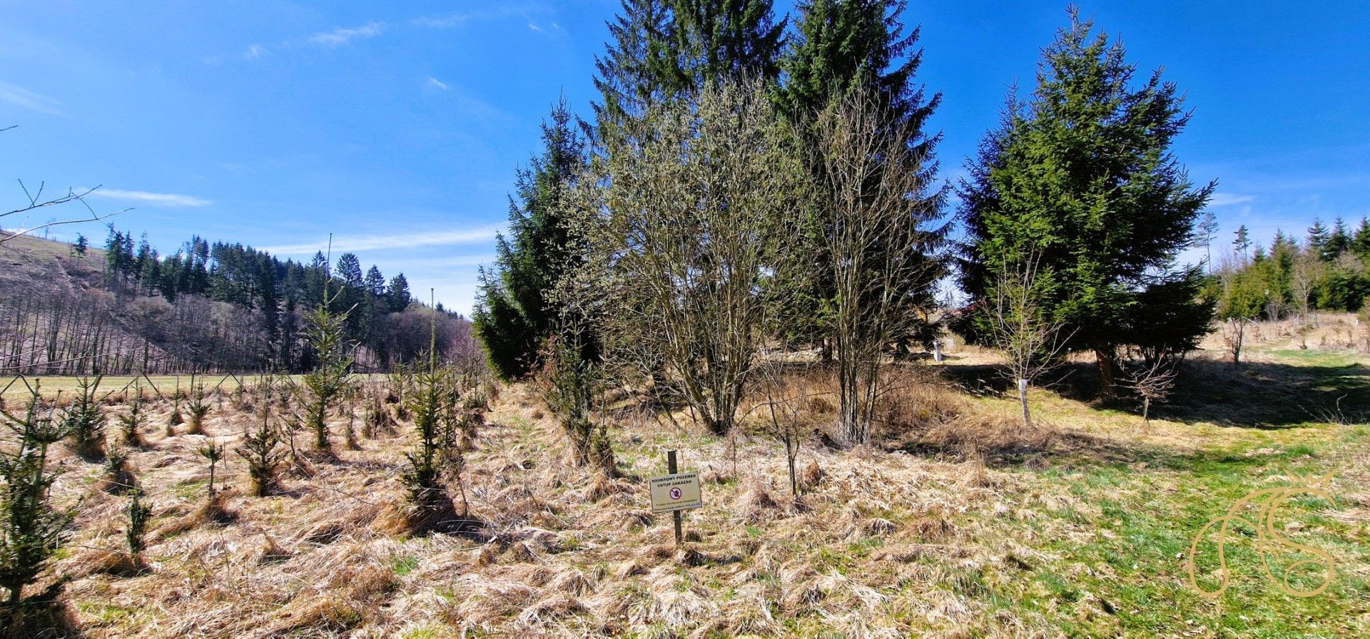 Prodej nemovitosti 12118 m² - foto 10