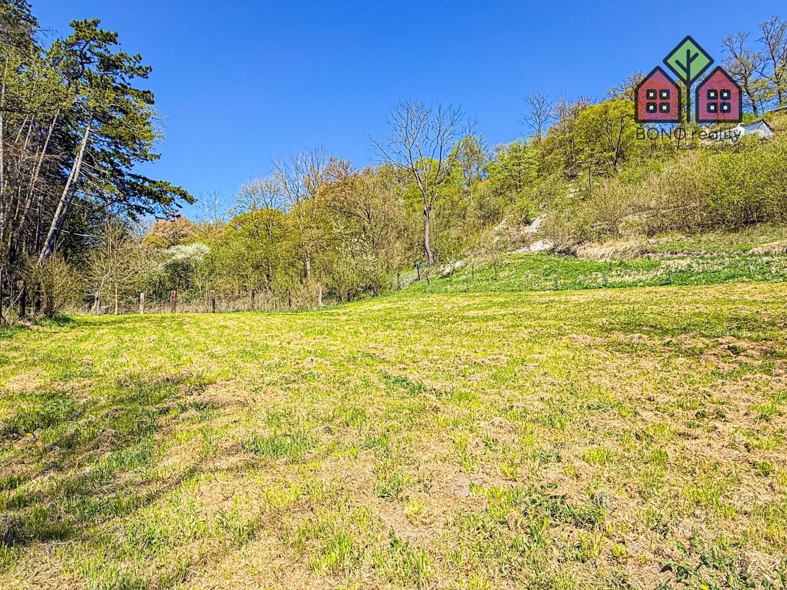 Prodej pozemku 4999 m² - foto 5