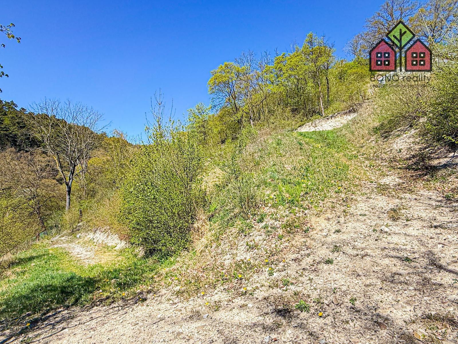 Prodej pozemku 4999 m² - foto 14