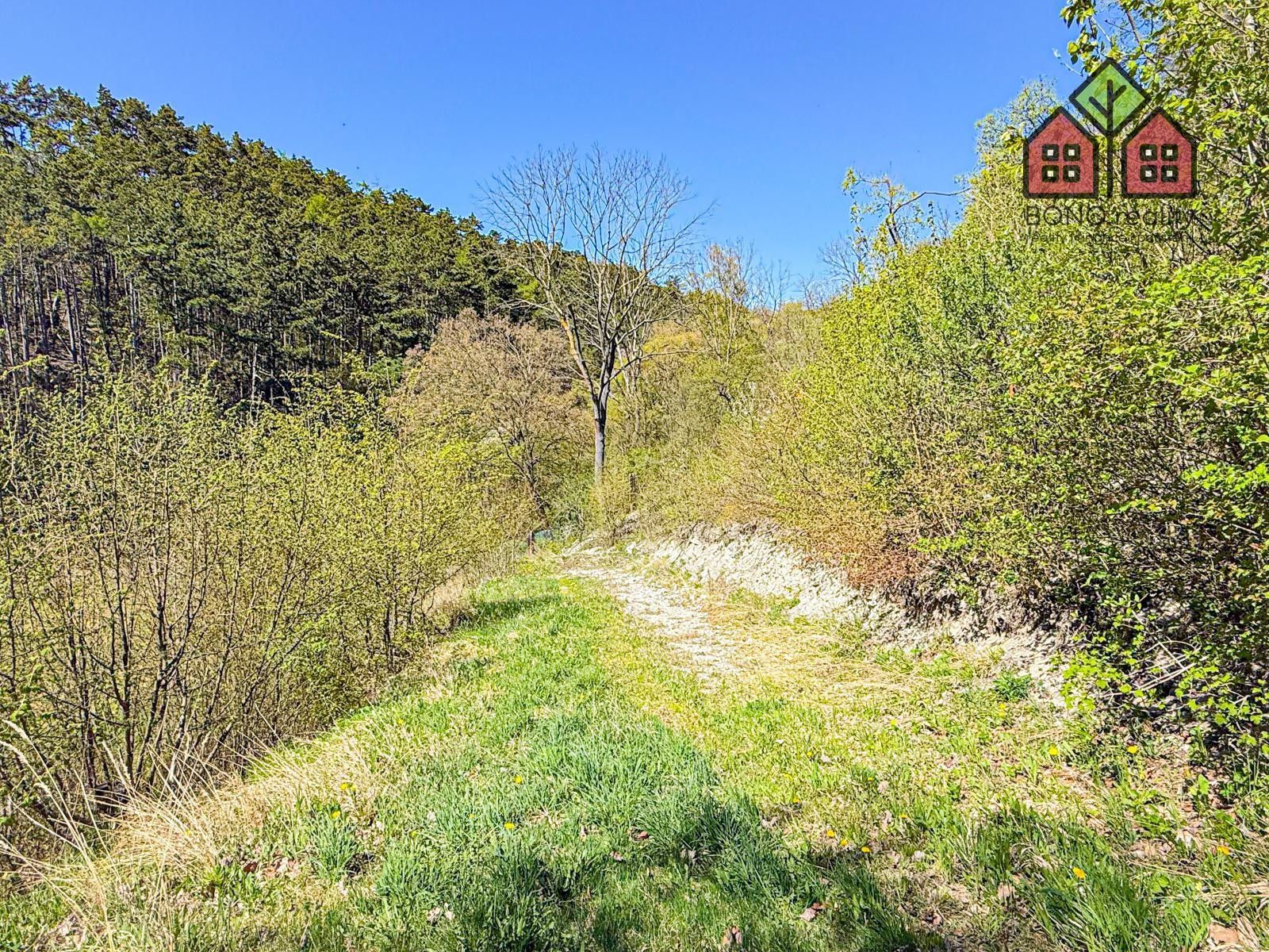 Prodej pozemku 4999 m² - foto 15