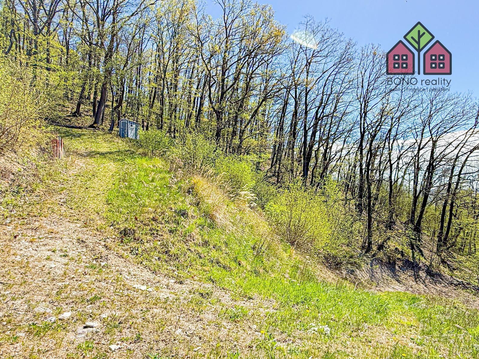 Prodej pozemku 4999 m² - foto 13