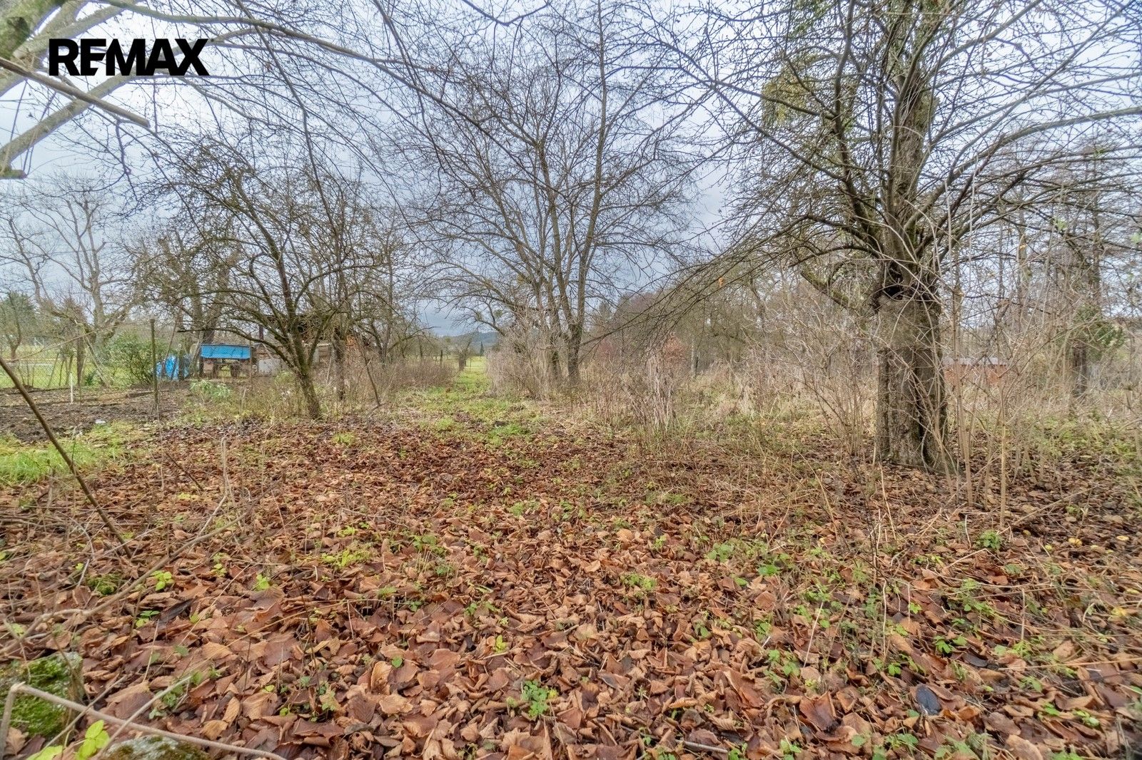 Prodej domu 435 m² - foto 10