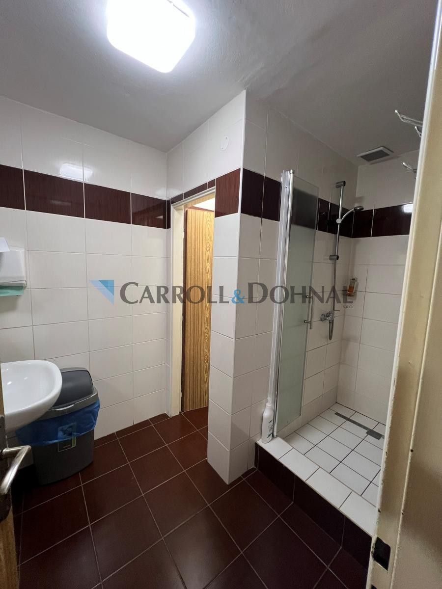 Prodej komerčního prostoru 280 m² - foto 15