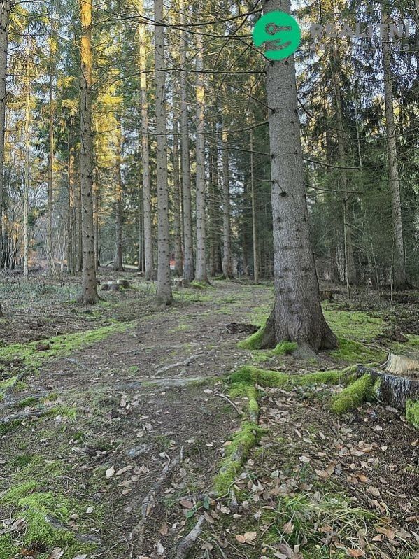 Prodej pozemku 96946 m² - foto 8