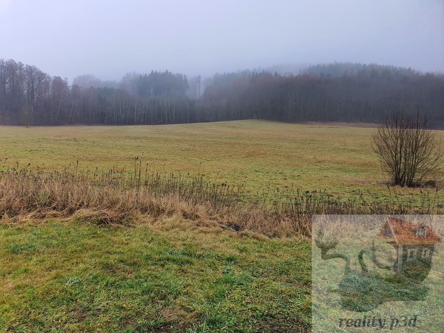 Prodej pozemku 1905 m² - foto 4