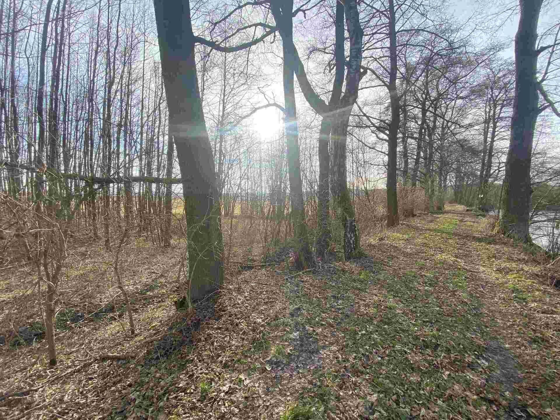 Prodej nemovitosti 1109 m² - foto 3