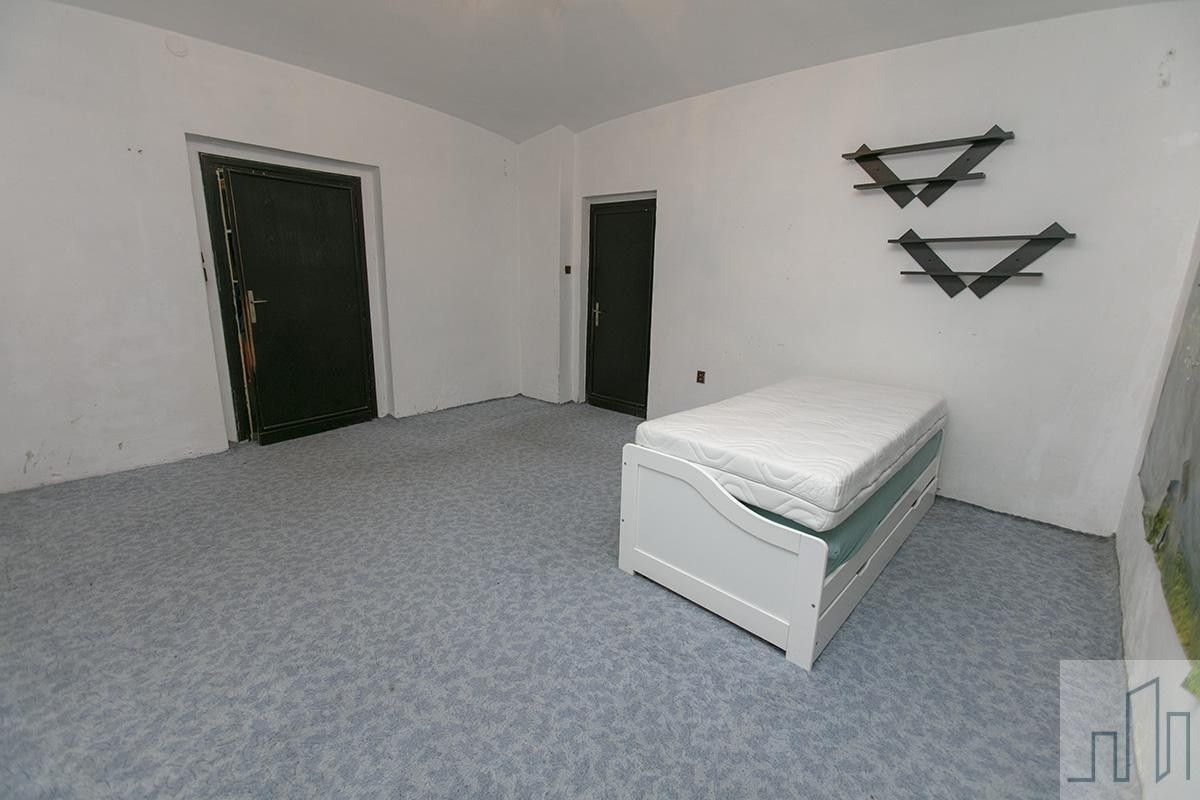 Prodej nemovitosti 250 m² - foto 6