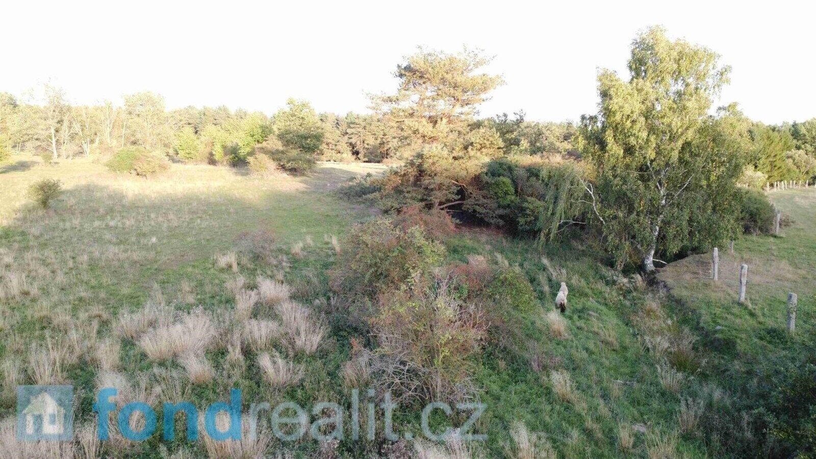 Prodej pozemku 7261 m² - foto 4