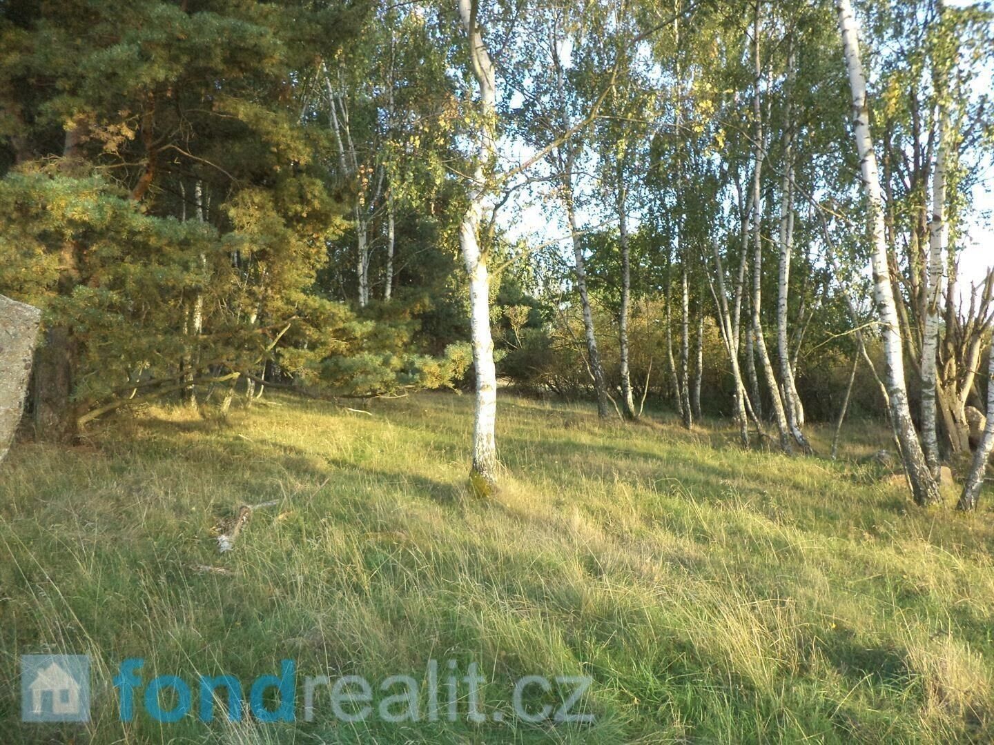 Prodej pozemku 7261 m² - foto 1