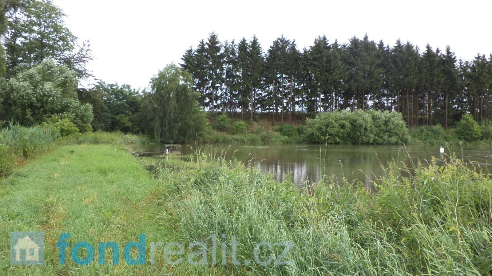 Prodej nemovitosti 4992 m² - foto 3