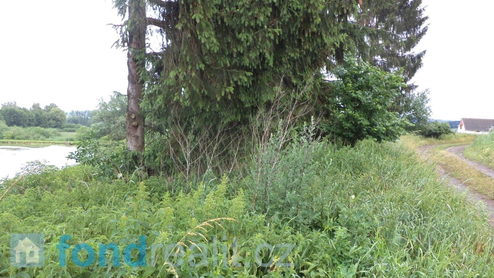 Prodej nemovitosti 4992 m² - foto 7