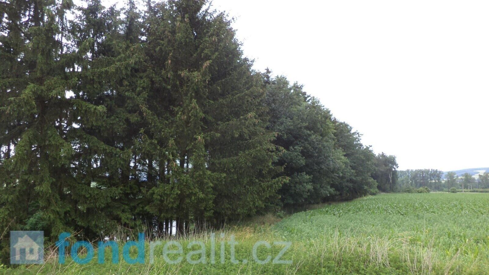 Prodej nemovitosti 4992 m² - foto 5