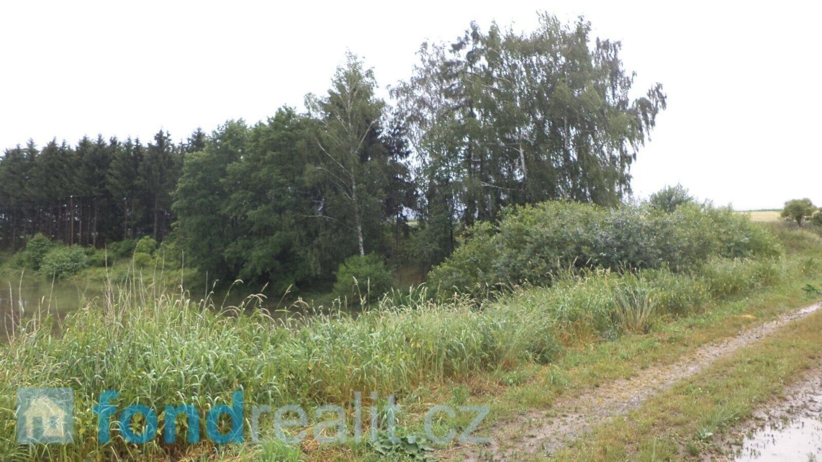 Prodej nemovitosti 4992 m² - foto 4