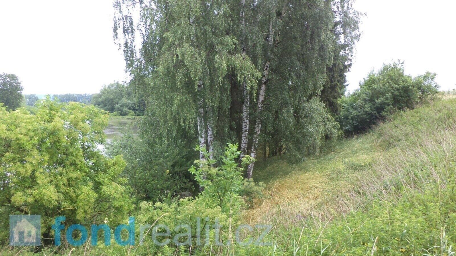 Prodej nemovitosti 4992 m² - foto 2
