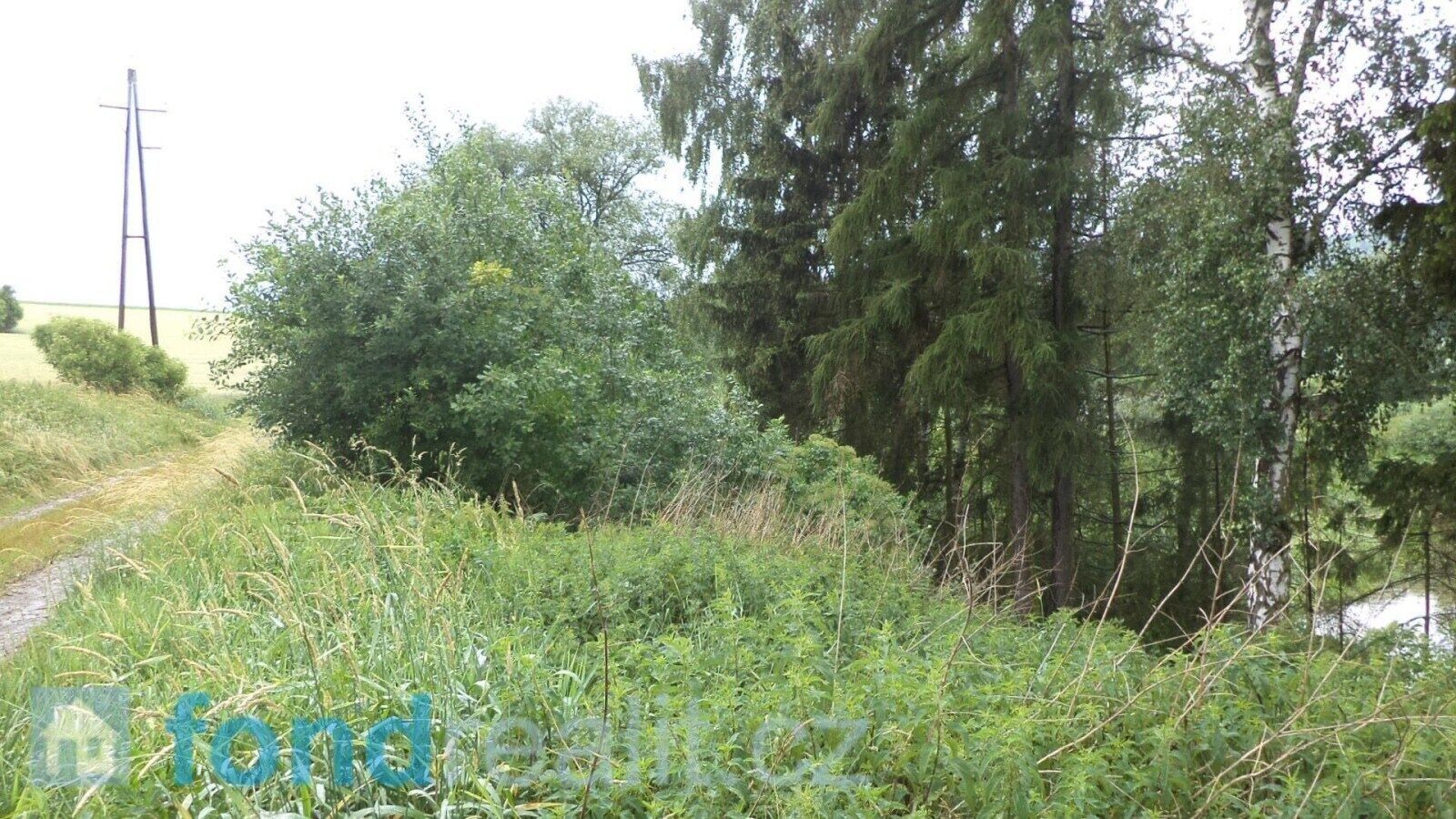 Prodej nemovitosti 4992 m² - foto 6